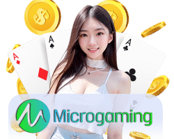 casino Micro Gaming - h25slot-th.com